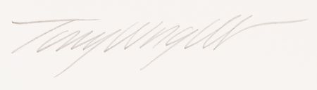 Lot #834 Steve Winwood: Tony Wright Signed Lithograph (Ltd. Ed. #AP 7/20) - 22.5˝ x 26.5˝ - Image 2