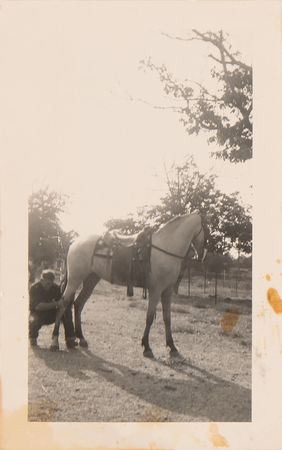 Lot #7092 James Dean Autograph Letter Signed from Hollywood to His NYC Girlfriend, Sending a Candid of His New Horse: 