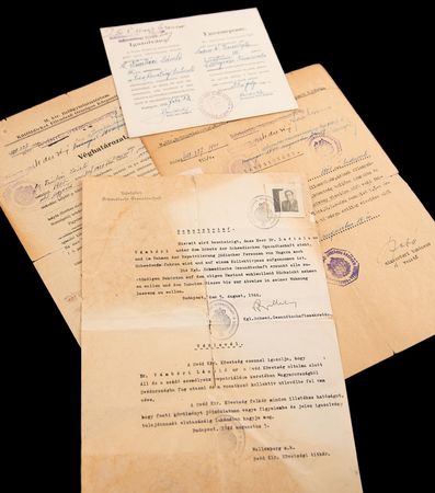Lot #7022 Raoul Wallenberg 'Schutzbrief' Document Signed, Saving a Hungarian Jew During World War II, with Jewish Badge Exemption Document and Residency Permit - Image 2