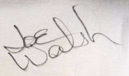 Lot #420 The Eagles Signed 'Hell Freezes Over 1994' T-Shirt - Image 2