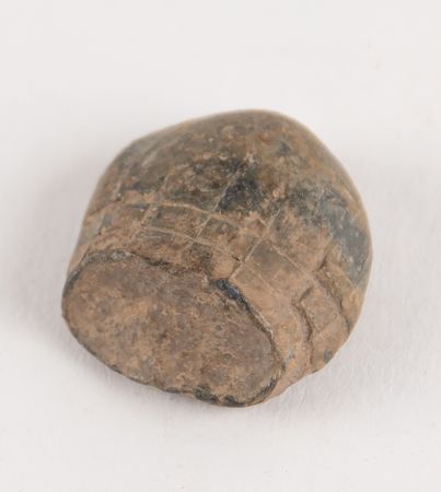 Lot #241 Civil War: Bullet-Damaged Book with Bullet Fragment from the Battle of Pleasant Hill - Image 3
