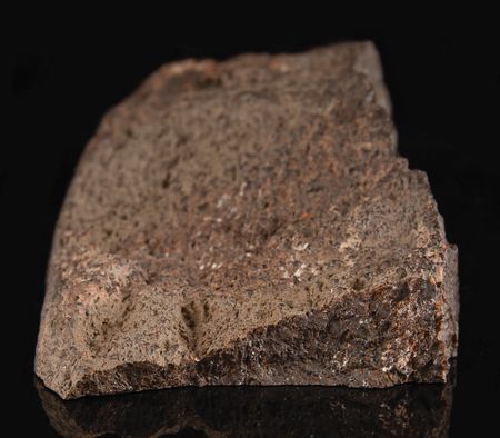 Lot #8664 NWA 17786 Ureilite Meteorite End Cut - Image 8