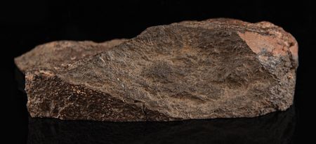 Lot #8664 NWA 17786 Ureilite Meteorite End Cut - Image 4