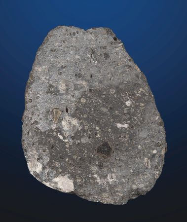 Lot #8668 Allende Carbonaceous Chondrite Meteorite Slice - Image 2