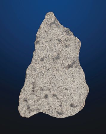 Lot #8675 NWA 13190 Martian Meteorite Slice