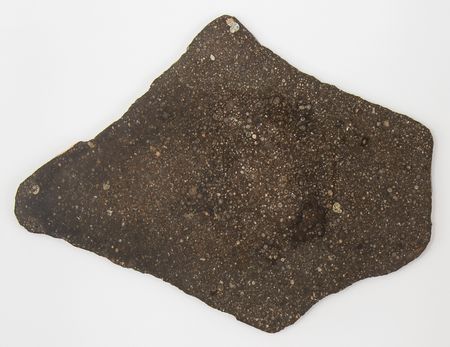 Lot #8676 NWA 16811 Carbonaceous Chondrite Meteorite Slice - Image 3