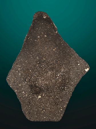Lot #8676 NWA 16811 Carbonaceous Chondrite Meteorite Slice - Image 2