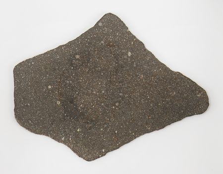 Lot #8676 NWA 16811 Carbonaceous Chondrite Meteorite Slice - Image 4