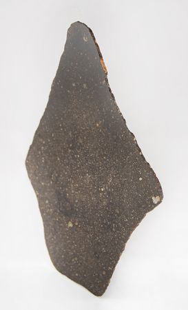 Lot #8676 NWA 16811 Carbonaceous Chondrite Meteorite Slice - Image 5