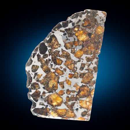 Lot #8672 Imilac Pallasite Meteorite Slice