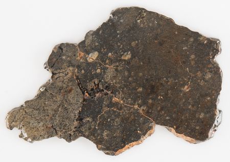 Lot #8677 NWA 8583 Eucrite Meteorite Slice - Image 3