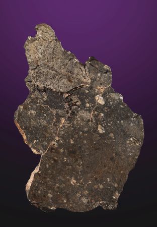 Lot #8677 NWA 8583 Eucrite Meteorite Slice