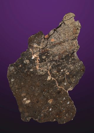 Lot #8677 NWA 8583 Eucrite Meteorite Slice - Image 2