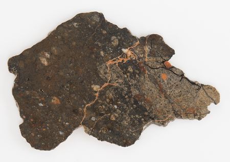 Lot #8677 NWA 8583 Eucrite Meteorite Slice - Image 4