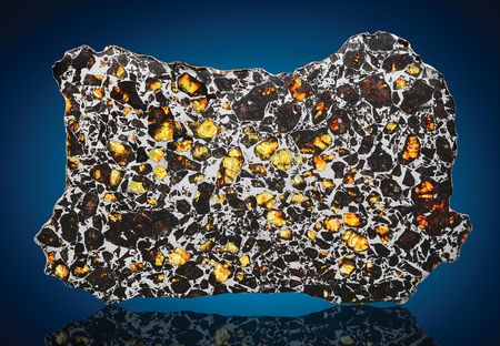 Lot #8656 Admire Pallasite Meteorite Slice -