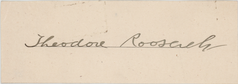 Lot 184 Theodore Roosevelt Signature