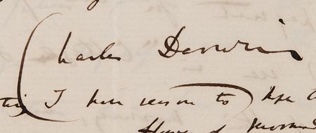 Lot #275 Charles Darwin Autorgaph Letter Signed on His Horticultural Studies: 