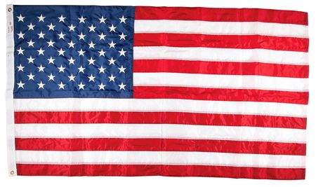 Lot #201 Donald Trump 2025 U.S. Capitol-Flown