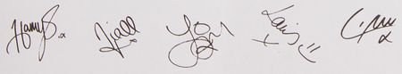 Lot #801 One Direction Signed Book - Dare to Dream - Image 2