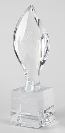 Lot #831 Robin Williams's 2009 People's Choice Award and Emmy Award Nomination - Image 2