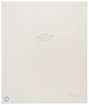 Lot #828 Marilyn Monroe: Andre de Dienes Oversized Original Photograph - PSA Type II - Image 2