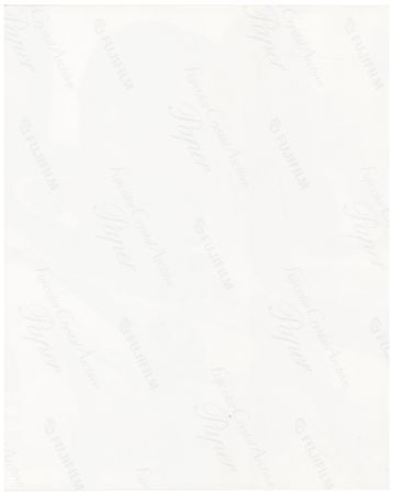 Lot #484 Dave Scott Signed Photograph - Image 2