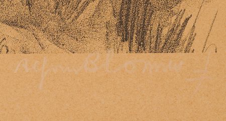 Lot #140 Albert Einstein Oversized Lithograph by Alfons Blomme (1933) - Image 2