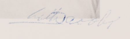 Lot #137 Albert Einstein Original Postcard Photograph by Lotte Jacobi (c. 1930/1980), with ANS by Jacobi - Image 3