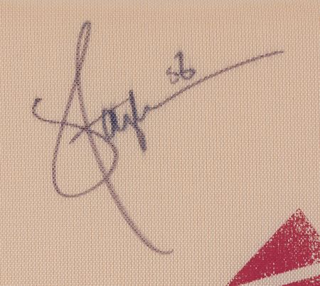 Lot #658 NY Giants: Lawrence Taylor and Phil Simms Signed 'Super Bowl XXI' Seat Cushion - Image 3