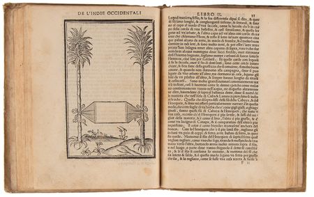 Lot #258 Peter Martyr d'Anghiera and Oviedo - The Earliest Voyage Collection to Focus on the New World (c. 1534) - Image 7
