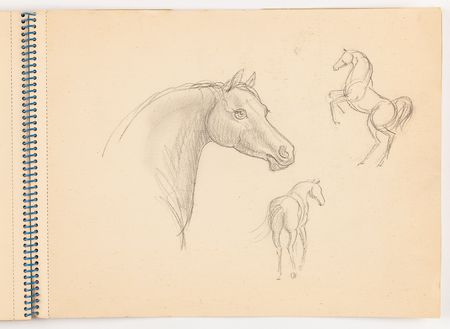 Lot #3409 Edie Sedgwick Original Sketchbook with (8) Drawings - Horses, Humans, and Dogs - Image 4