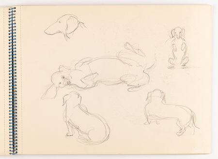Lot #3409 Edie Sedgwick Original Sketchbook with (8) Drawings - Horses, Humans, and Dogs - Image 9