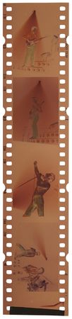 Lot #3356 Queen Collection of (19) Concert Color Negatives from the Houston Summit - August 20, 1982 - Image 6