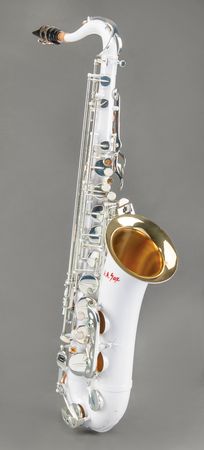 Lot #3469 Clarence Clemons Personally-Owned and -Used L.A. Sax Tenor Saxophone - Image 2