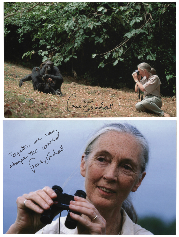 Lot 139 Jane Goodall (2) Signed Photographs