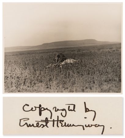 Lot #341 Ernest Hemingway Signed Photograph of Lion and Prey, Taken During a 1934 Safari - Image 1
