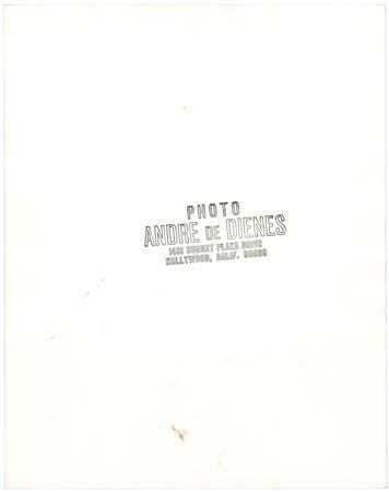 Lot #614 Marilyn Monroe: Andre de Dienes Original Photograph - PSA Type II - Image 2