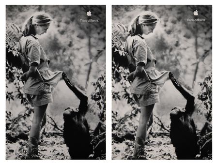 Lot #6153 Apple 'Educator Series' (2) Complete Poster Sets - Issued for Apple?s Iconic ?Think Different? Campaign - Image 3