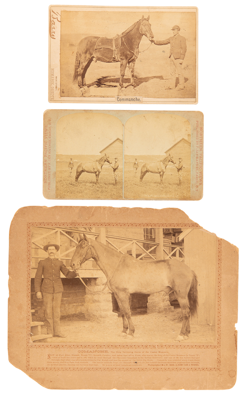 Lot 485 Little Bighorn: (3) Original Photographs of Comanche, the Surviving Horse of Capt. Myles Keogh