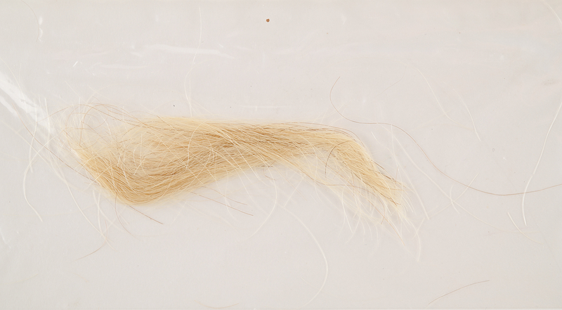 Lot 120 Andrew Jackson Lock of Hair with Handwritten Statement from Andrew Jackson, Jr. - 