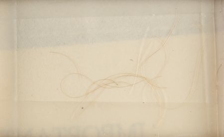 Lot #34 Mary Todd Lincoln Autograph Letter, Inaugural Gown Relic, and Hair Strands - Image 5
