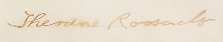 Lot #44 Theodore Roosevelt Document Signed as President, Appointing an Assistant Surgeon - Image 3