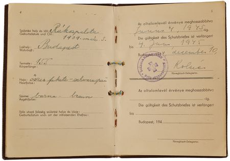 Lot #291 Wallenberg's Inspiration: Valdemar Langlet Signed 'Protection Letter' Passport from the Swedish Red Cross (1944) - Image 3