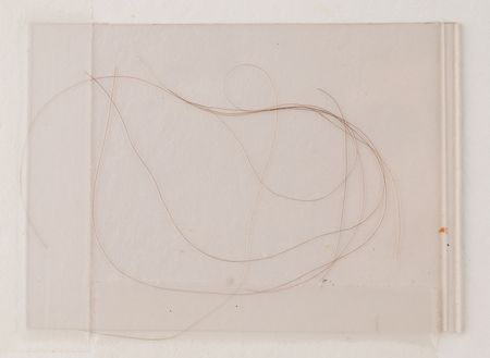 Lot #144 Abraham Lincoln Hair Strands - From the Collection of Lincoln Expert Frederick H. Meserve - Image 2