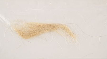 Lot #120 Andrew Jackson Lock of Hair with Handwritten Statement from Andrew Jackson, Jr. - 