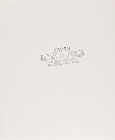 Lot #771 Marilyn Monroe Oversized Original Photograph by Andre de Dienes - PSA Type II - Image 2