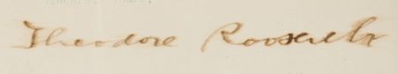 Lot #200 Theodore Roosevelt Typed Letter Signed as President - Image 3