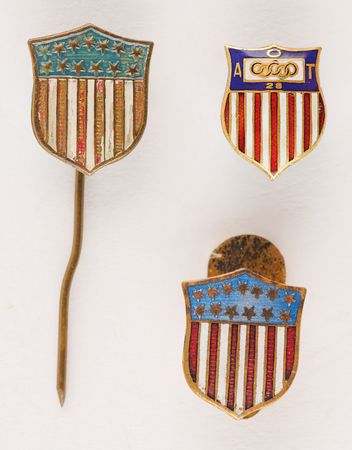 Lot #3245 Early Olympics (3) Team USA Insignia