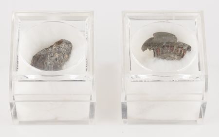 Lot #4095 Saint Valentine?s Day Massacre (2) Original Crime-Scene Bullet Fragments from the Forensic Laboratory of Calvin H. Goddard - Image 11