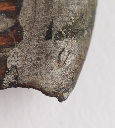 Lot #4095 Saint Valentine?s Day Massacre (2) Original Crime-Scene Bullet Fragments from the Forensic Laboratory of Calvin H. Goddard - Image 3